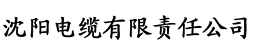 老色鬼久久亚洲av综合电缆厂logo